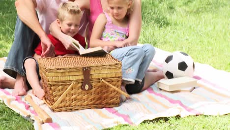 panorama of family reading in a park