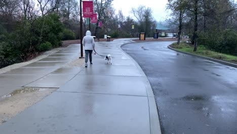 Woman-walking-dog-in-rain-on-city-streets,-miserable-day