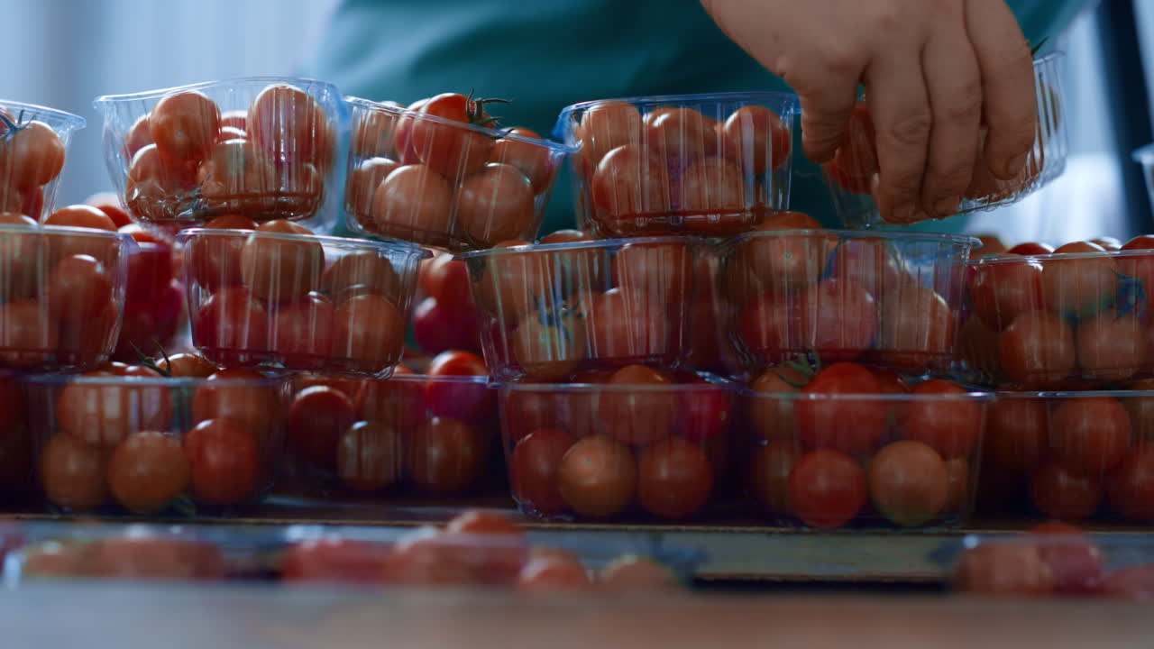 trabajador de la fábrica envases de tomate proceso de clasificación comprobación de la calidad del producto de cerca