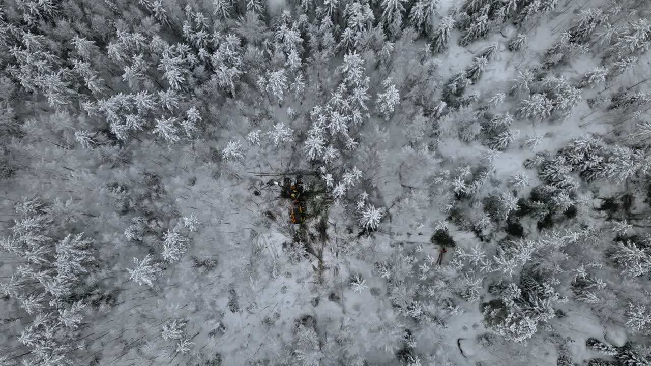 деревообрабатывающие машины вырубают стволы деревьев посреди заснеженного леса, вид с вершины вниз