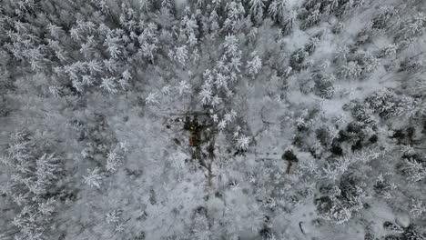Timber-machinery-cutting-down-tree-trunks-in-the-middle-of-a-snowy-forest,-Aerial-Top-down-view
