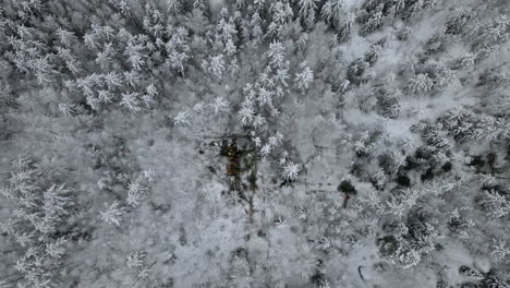 Maquinaria-Maderera-Cortando-Troncos-De-árboles-En-Medio-De-Un-Bosque-Nevado,-Vista-Aérea-De-Arriba-Hacia-Abajo