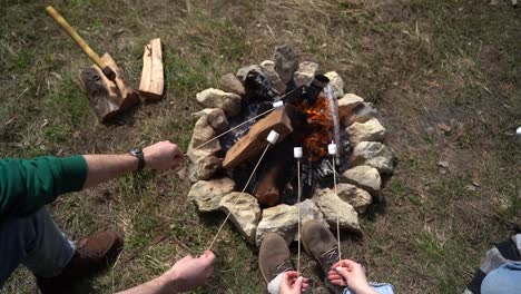 een groep jongeren warmt marshmallows op een kampvuur. detailopname.