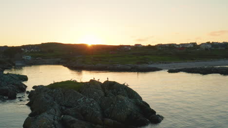 Explore-La-Impresionante-Belleza-De-Connemara,-Galway,-Irlanda,-Con-Una-Cautivadora-Toma-De-Drones-Que-Muestra-El-Exuberante-Paisaje-Verde,-La-Pintoresca-Costa-Y-La-Elegante-Presencia-De-Gaviotas-Y-Pájaros.