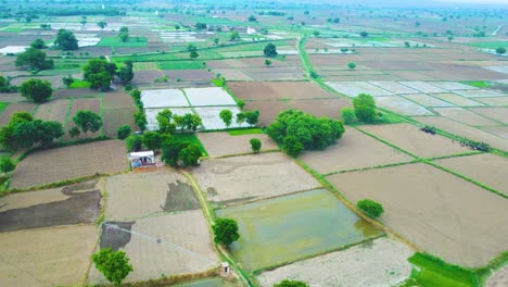 Toma-Aérea-De-Drones-De-Campos-Agrícolas-En-Una-Aldea-Rural-Del-Norte-De-La-India-Durante-El-Monzón