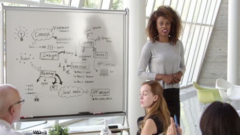 Businesswoman Leads Brainstorming Session Shot On R3D