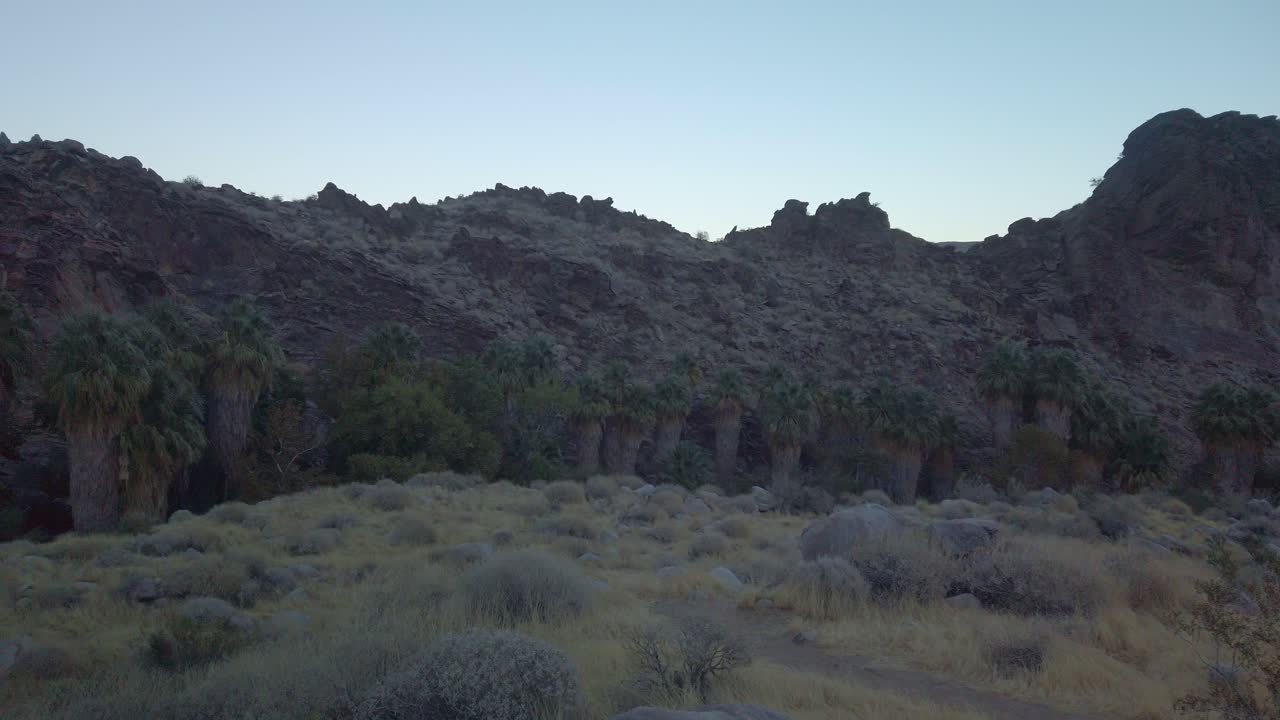 gimbal panorámica de la oasis del desierto del cañón de andreas durante la puesta de sol en palm canyon en el sur de california