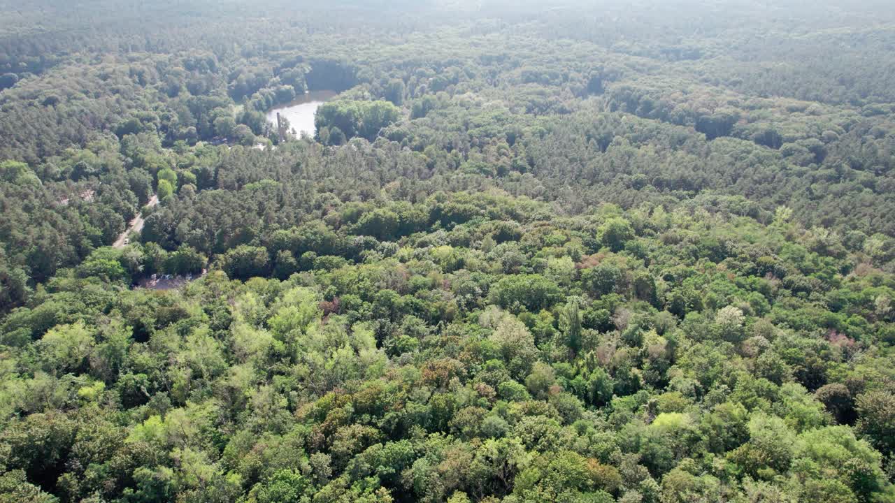 volando sobre el parque del lago del bosque alemán en las afueras de berlín