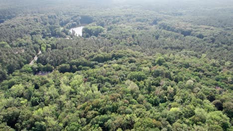 Flying-Over-German-Forest-Lake-Park-in-Outskirts-of-Berlin