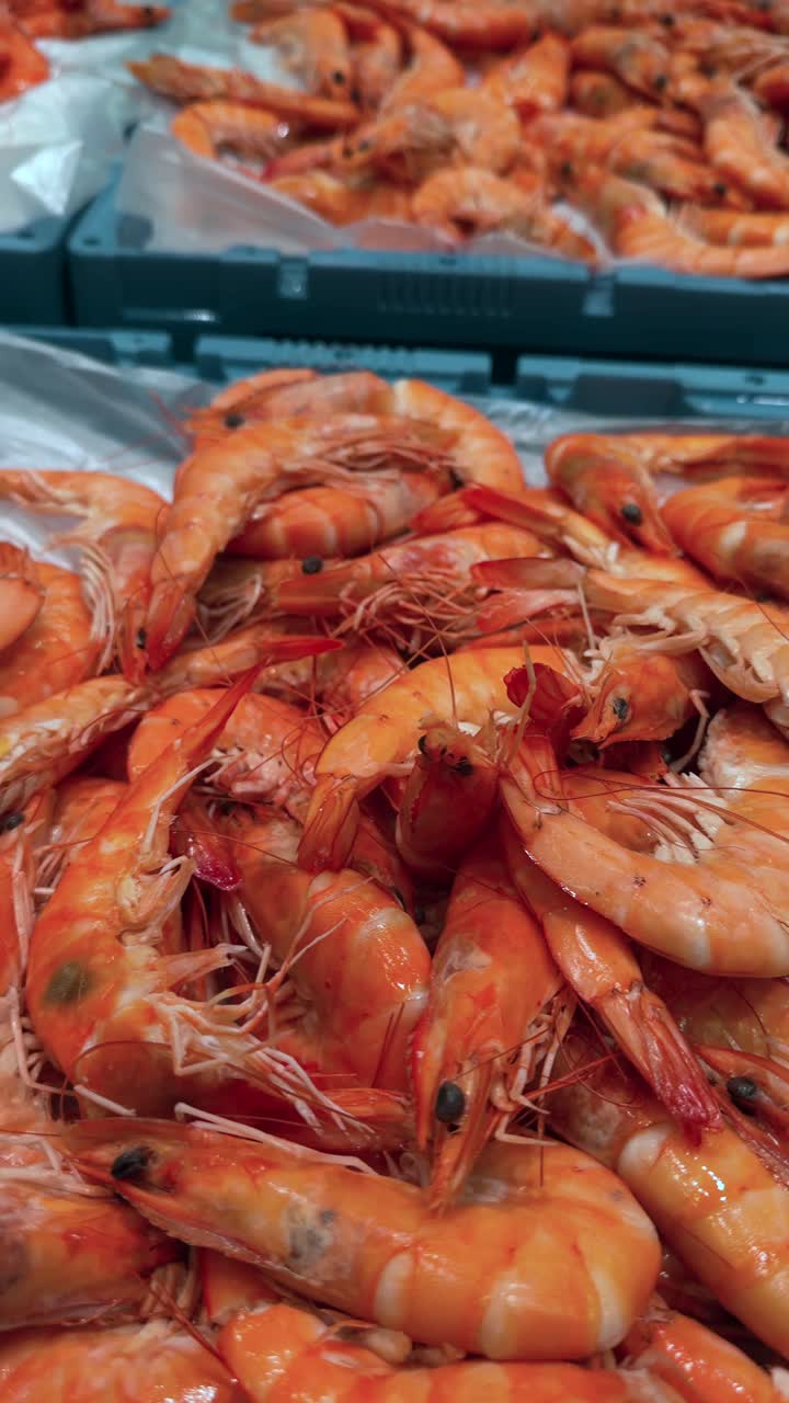 Close-up of Fresh Cooked Shrimp on Display at a Market
