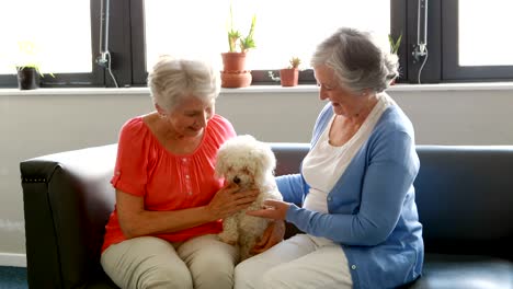 senior women pampering dog