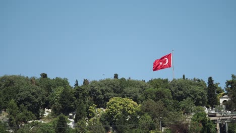 turkish flag waving above green trees against a clear blue sky