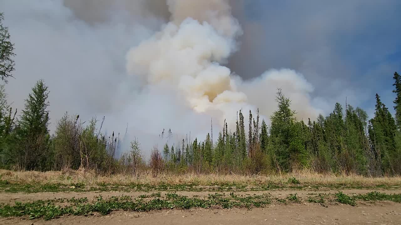 lapso de tiempo de un incendio forestal furioso ondulando humo espeso mientras quema a través de los árboles y la vegetación de un bosque, alberta, canadá