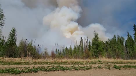 Time-lapse-of-a-raging-wildfire-billowing-thick-smoke-as-it-burns-through-the-trees-and-vegetation-of-a-forest,-Alberta,-Canada