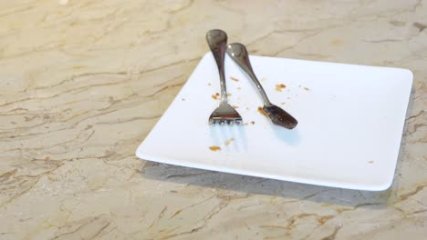 empty plate with cutlery and crumbs