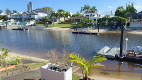 peaceful riverside scene with boats and palm trees