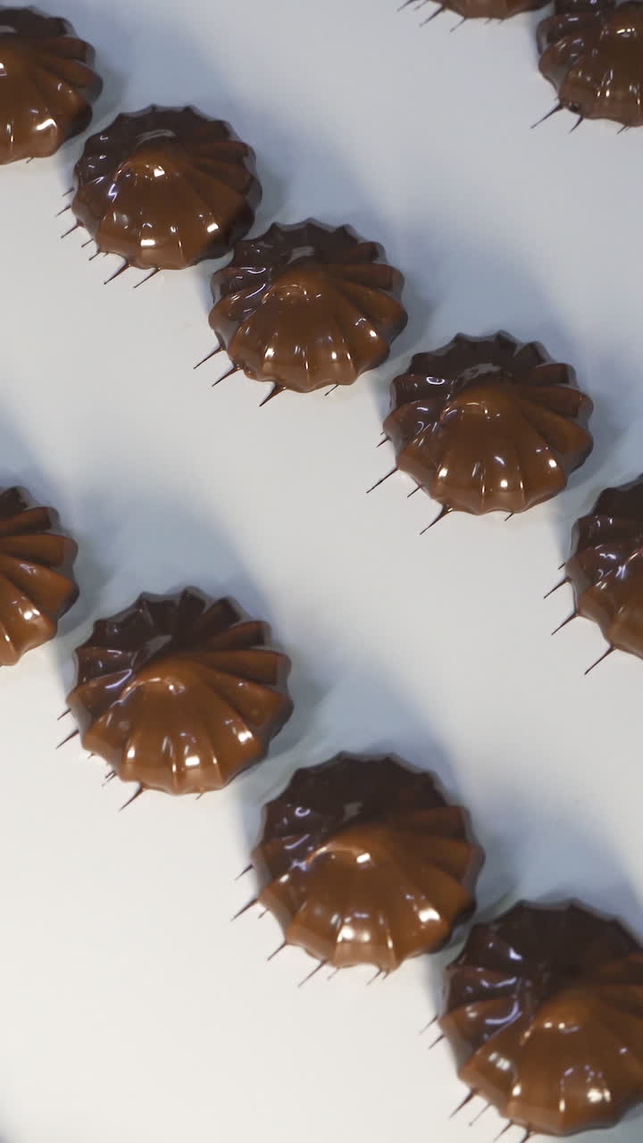 Movement of freshly made marshmallows covered in chocolate on a white conveyor belt. Confectionery factory. Vertical video