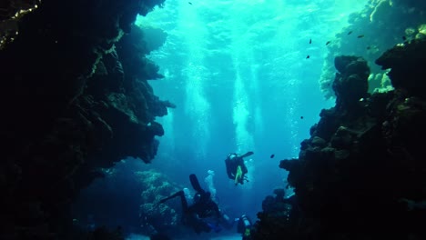 tourists diving in group in coral reef sea