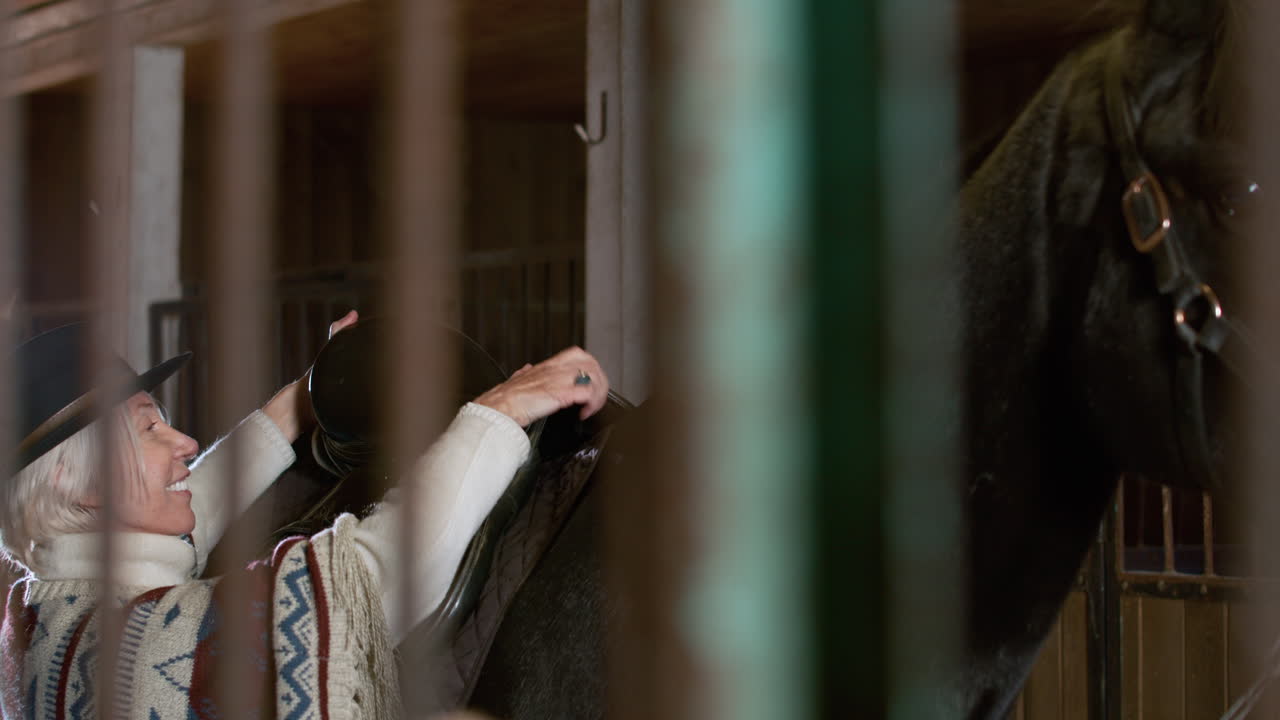 mujer con caballo en el interior