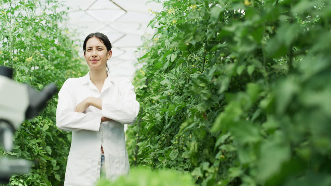 mi trabajo es simplemente agradable