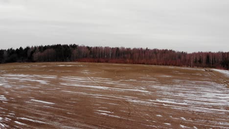 Vogelperspektive-Auf-Das-Farmfield-Und-Den-Dichten-Wald-Im-Dorf-Buszkowy-Gorne-In-Polen