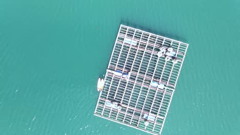 Blick-Von-Oben-Auf-Die-Schwimmende-Muschelplattform-Namens-Bateas-Für-Die-Muschelzucht-In-Den-Blaugrünen,-Klaren-Gewässern-Der-Ría-De-Arousa,-Galizien,-Spanien