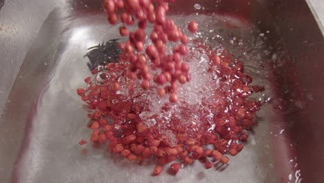 slow motion zoom out, foraged rowan berries are poured into sink to be washed