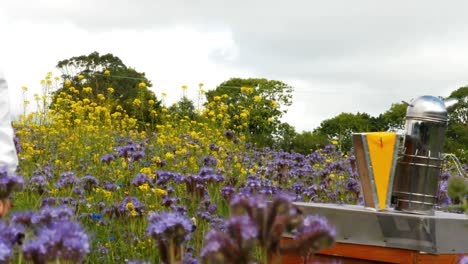 beekeeper walking in the field