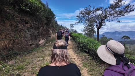 hiking through a tea plantation in sri lanka