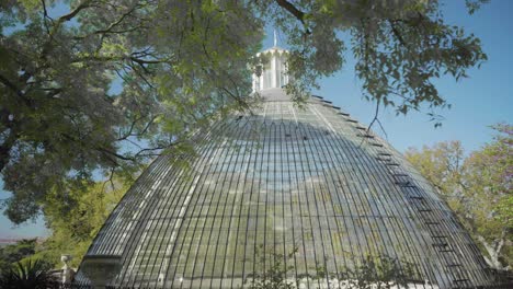 cúpula de cristal del parque a través de árboles verdes