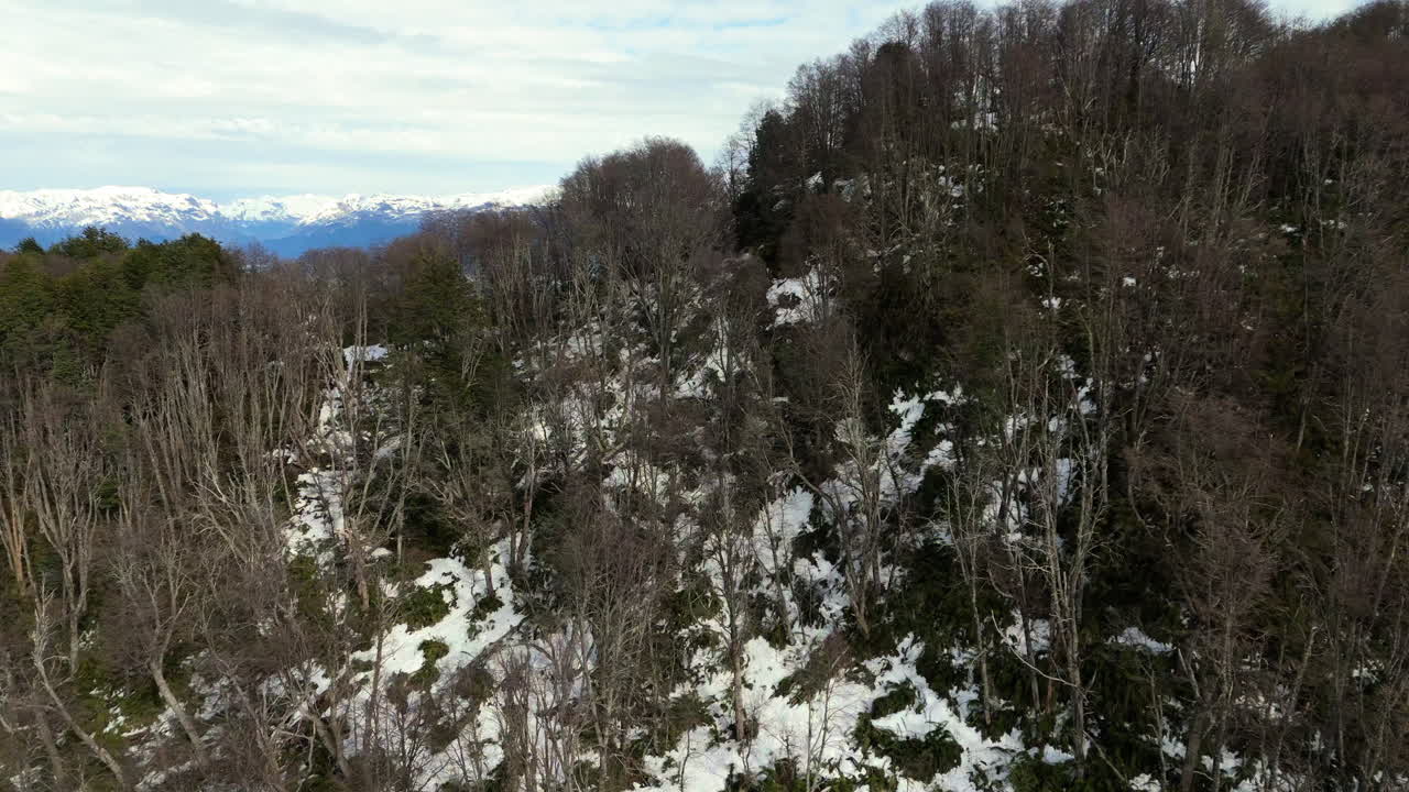 눈이 쌓인 산맥과 나무가 가까운 공중에서 촬영된 사진, 파타고니아, 아르헨티나.
