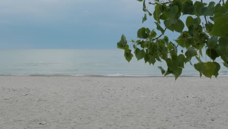 handheld shot of the north beach from lake ontario with leaves in the wind on a cloudy evening