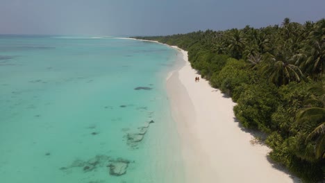 vuelo de drones sobre la franja costera de la isla maldiva con árboles verdes hacia dos personas que caminan