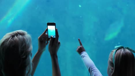 Happy-family-looking-at-fish-tank