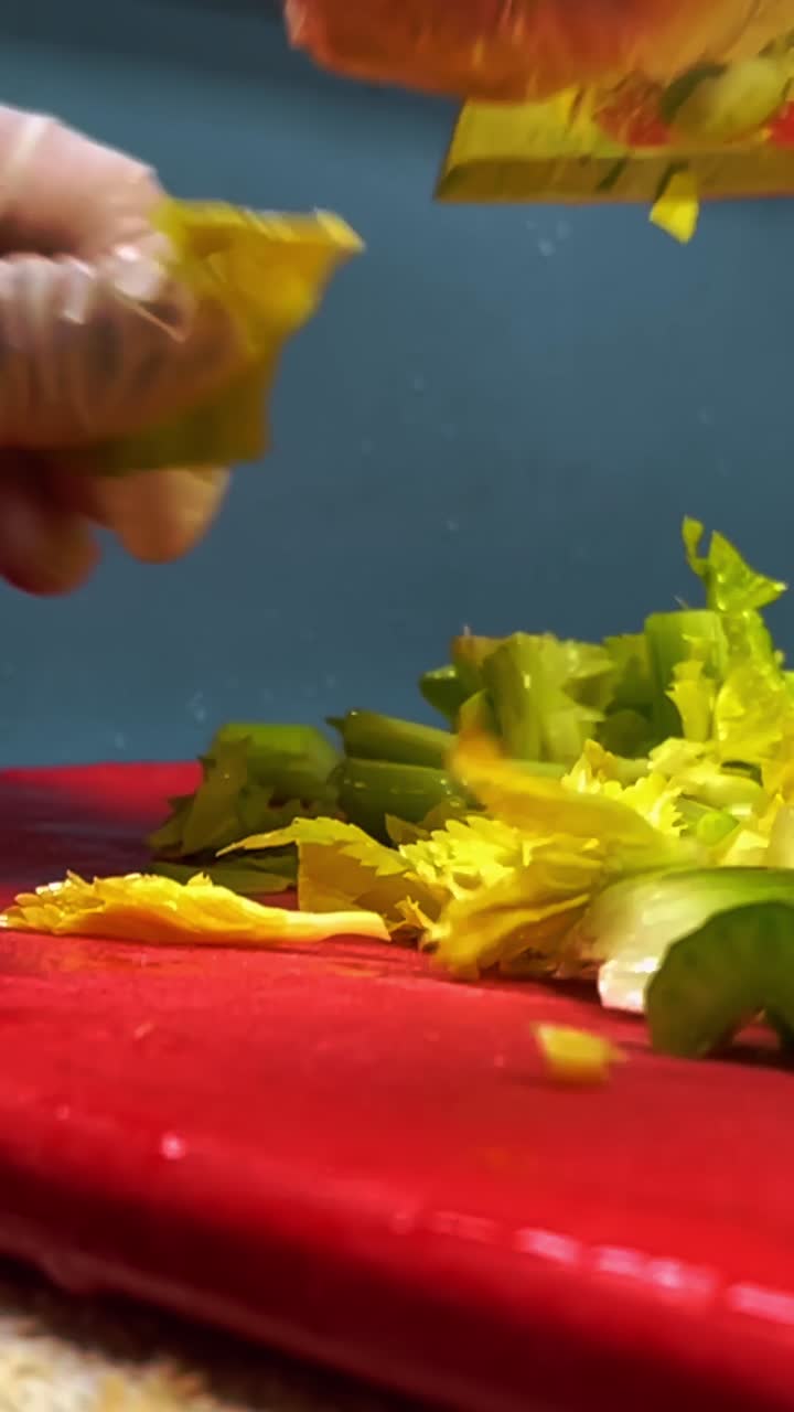 Chef professionista che trita sedano fresco verde su un tagliere rosso. Primo piano di mani con guanti di plastica che usano un coltello affilato per affettare gambi di sedano in una cucina commerciale
