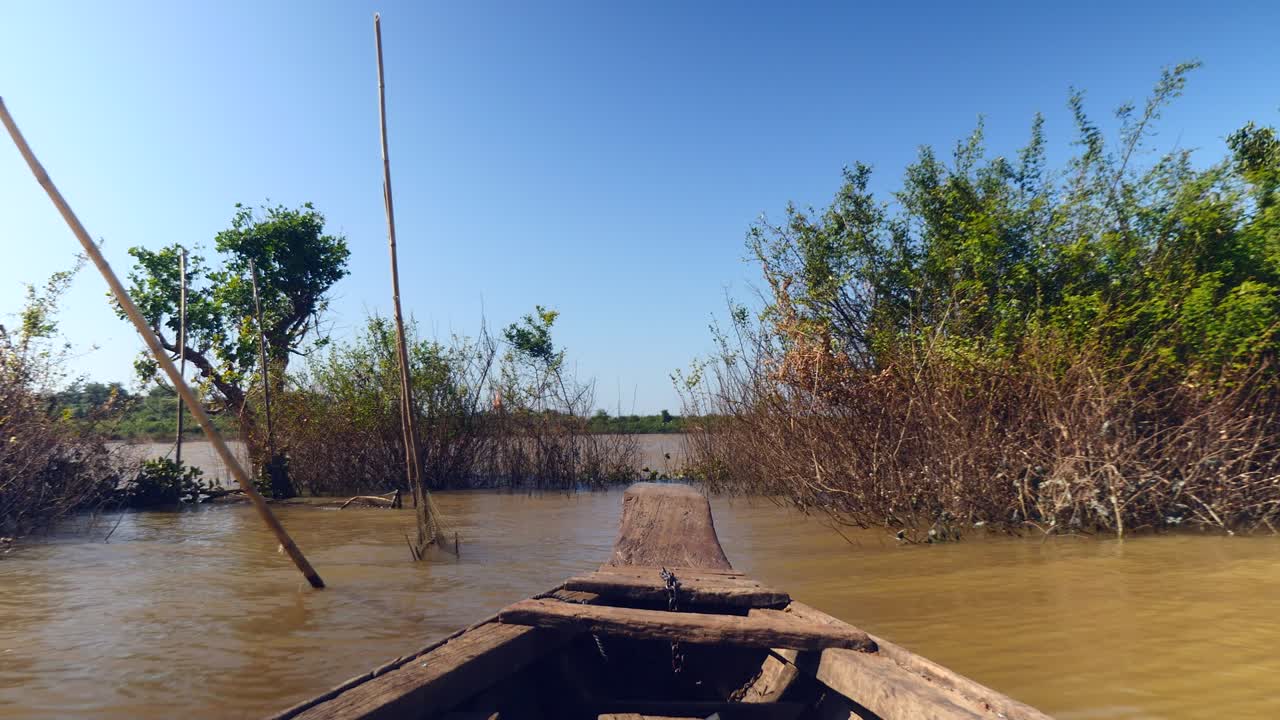 vista desde la proa de una canoa en un lago a través de la vegetación emergente bajo un cielo despejado (close-up)