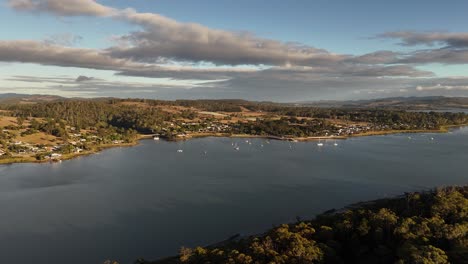 port of tamar river and surrounding forest, tasmania in australia