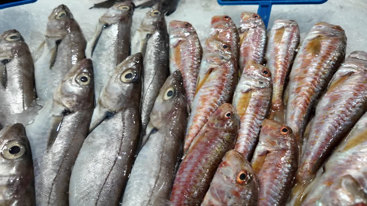 pescado fresco en el mercado