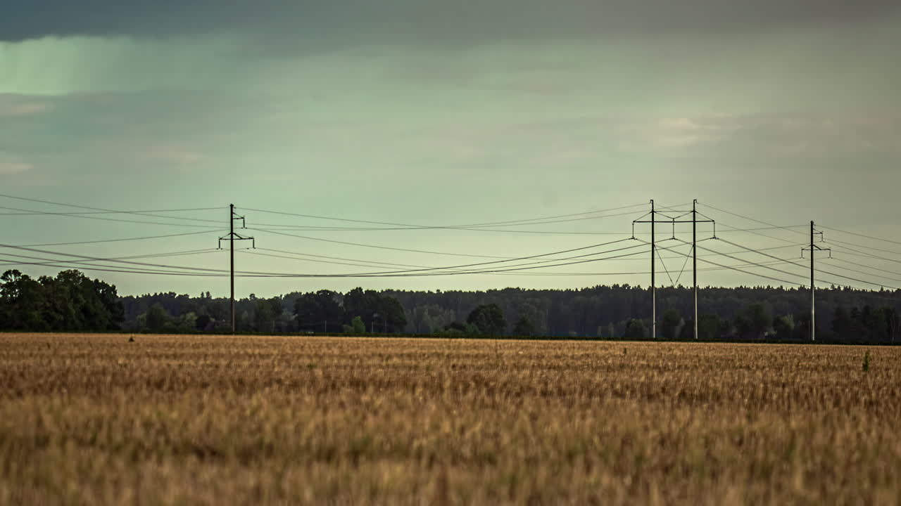 A breathtakingly beautiful shade of Golden Wheat as you delve into this sensational close-up time-lapse footage, enhanced with a backdrop of vibrant green trees