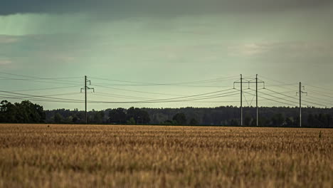 a breathtakingly beautiful shade of golden wheat as you delve into this sensational close-up time-lapse footage, enhanced with a backdrop of vibrant green trees
