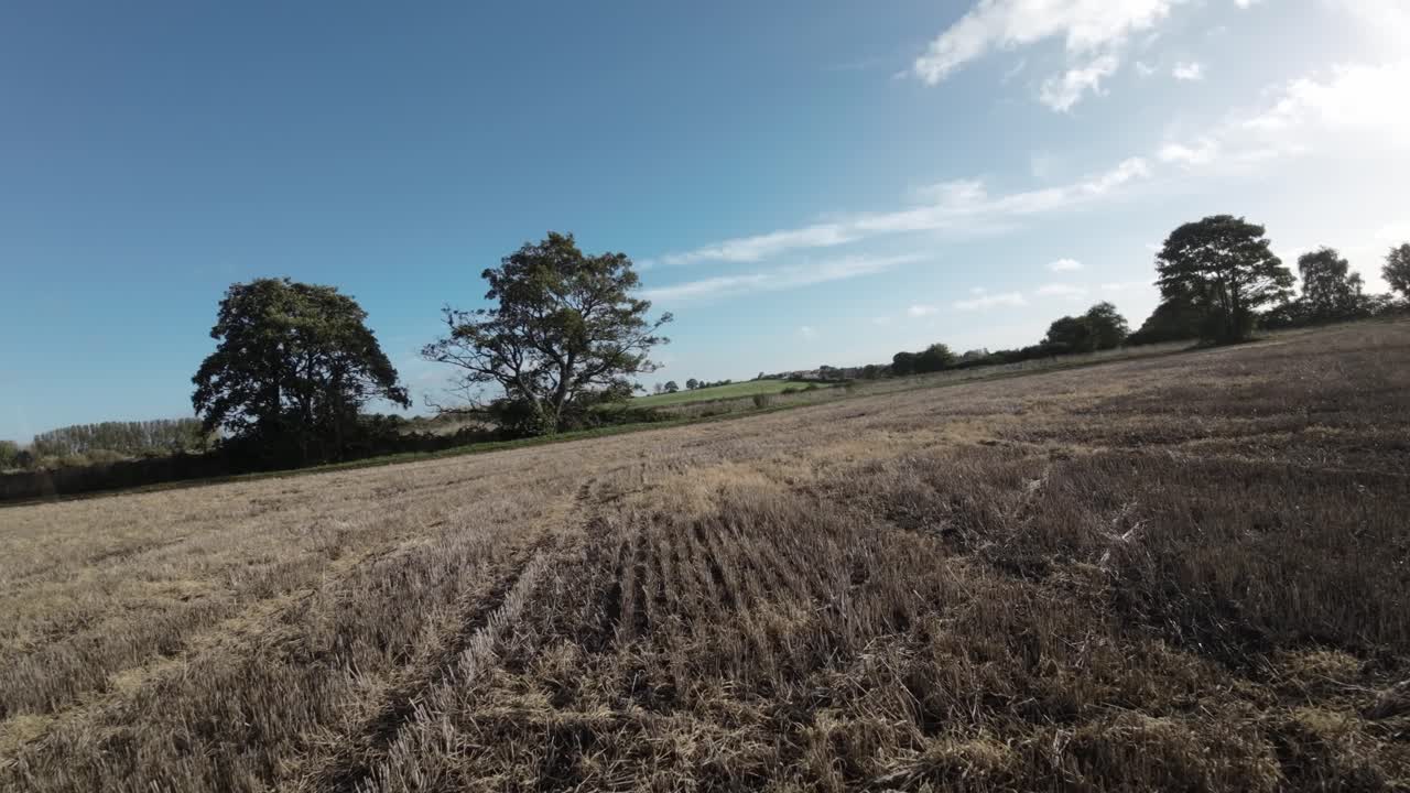 시골 나무 울타리 영국을 통과하는 농작물 농지를 가로질러 비행하는 fpv 무인 항공기