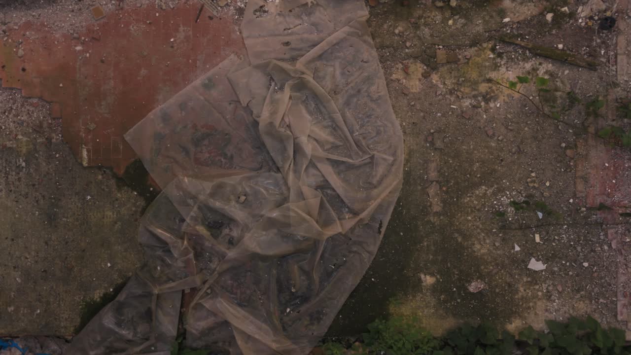 Abandoned Floor with Brick and Ivy