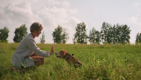 pet lover giving dog handshake in grassy field on sunny day, surrounded by lush greenery, woman squatting and interacting playfully with her dog