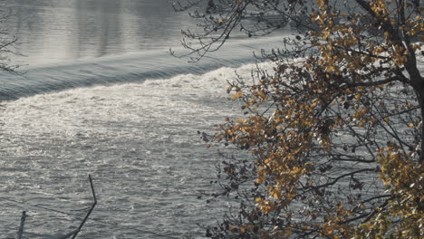 Moldau-In-Prag-Mit-Baum-Voller-Blätter-In-Herbstfarben