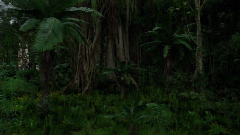 dense tropical rainforest at dusk with rich vegetation and stillness