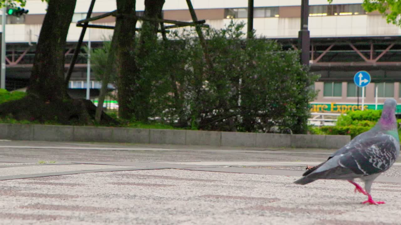 요코하마 최고의 전망