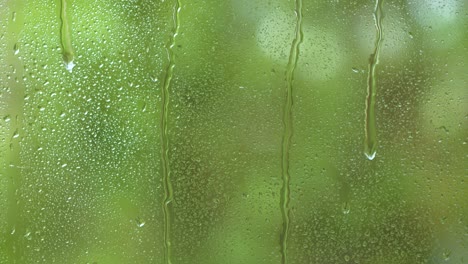 nature water rainfall, rain drops texture on window glass, blurred green trees