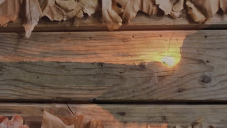 animation of landscape over leaves on wooden background