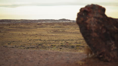 Riesiger-Holzstamm-Mit-Landschaftsblick-Im-Petrified-Forest-National-Park-In-Arizona,-Schwenkaufnahme