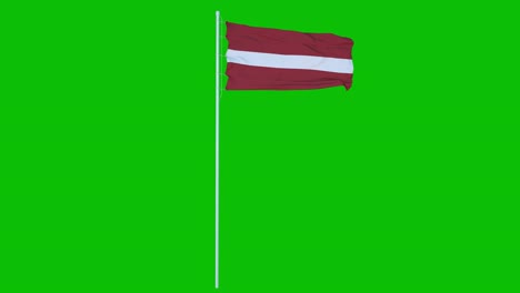 latvia flag waving on wind on green screen or chroma key background. 4k animation